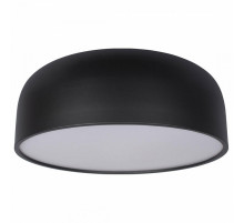 Потолочный светильник Loft IT Axel 10201/480 Black