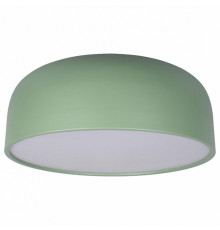 Потолочный светильник Loft IT Axel 10201/480 Green