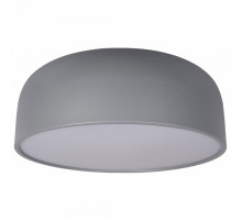 Потолочный светильник Loft IT Axel 10201/480 Grey