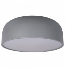 Потолочный светильник Loft IT Axel 10201/480 Grey