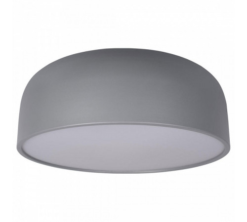 Потолочный светильник Loft IT Axel 10201/480 Grey