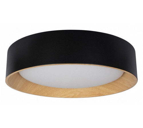 Потолочный светильник Loft IT Coin 10202 Black