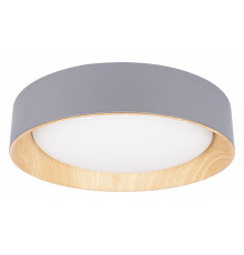 Потолочный светильник Loft IT Coin 10202 Grey