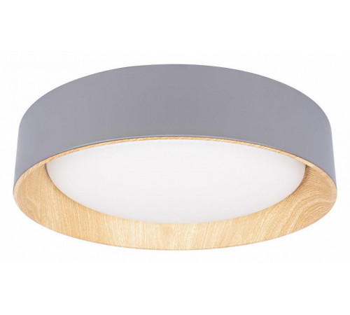 Потолочный светильник Loft IT Coin 10202 Grey