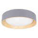 Потолочный светильник Loft IT Coin 10202 Grey