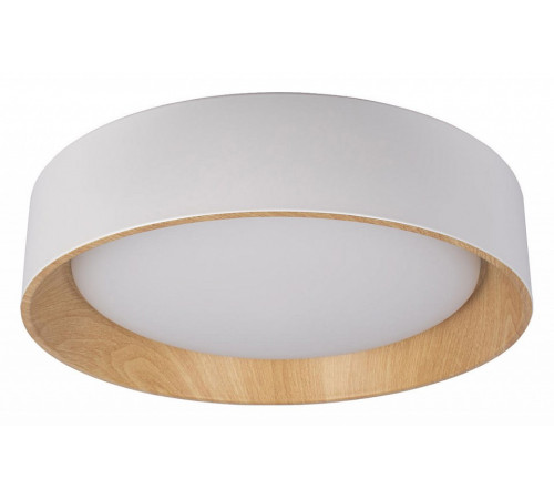 Потолочный светильник Loft IT Coin 10202 White