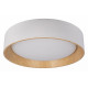 Потолочный светильник Loft IT Coin 10202 White