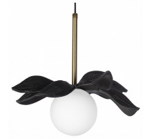 Подвесной светильник Loft IT Monro 10213/A Black