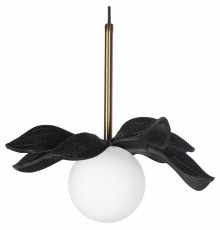 Подвесной светильник Loft IT Monro 10213/A Black