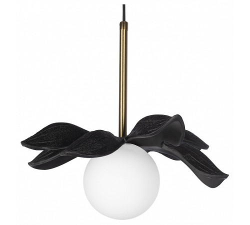 Подвесной светильник Loft IT Monro 10213/A Black Подвесной светильник Loft IT Monro 10213/A Black
