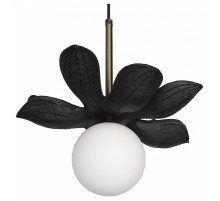 Подвесной светильник Loft IT Monro 10213/B Black