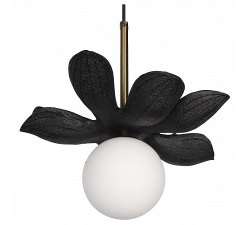 Подвесной светильник Loft IT Monro 10213/B Black