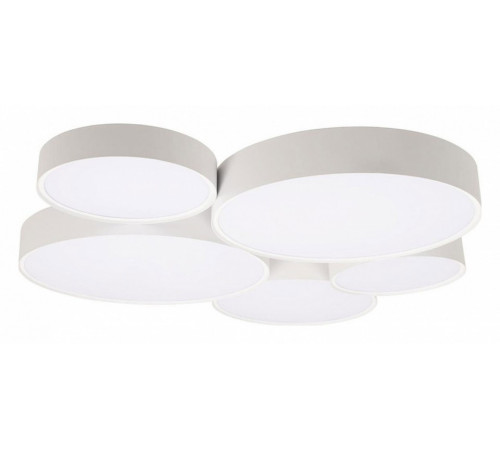 Потолочный светильник Loft IT Drum 10218 White
