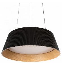 Подвесной светильник Loft IT Evans 10224P Black