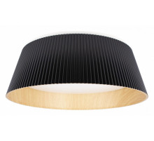 Потолочный светильник Loft IT Evans 10224 Black