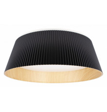Потолочный светильник Loft IT Evans 10224 Black