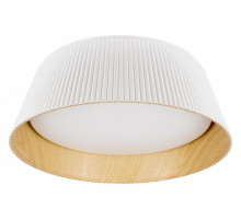 Потолочный светильник Loft IT Evans 10224 White