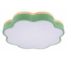 Потолочный светильник Loft IT Axel 10225/36 Green