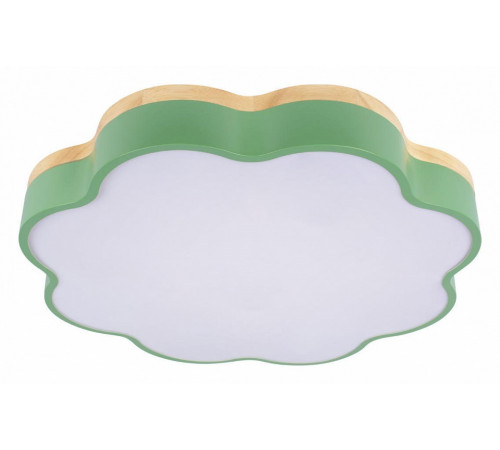 Потолочный светильник Loft IT Axel 10225/36 Green