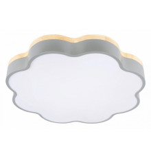 Потолочный светильник Loft IT Axel 10225/36 Grey