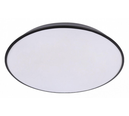 Потолочный светильник Loft IT Brim 10226 Black