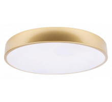 Потолочный светильник Loft IT Flims 10228/A
