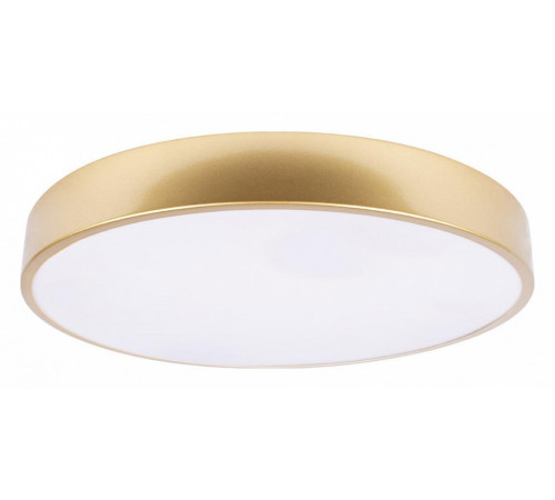 Потолочный светильник Loft IT Flims 10228/A Потолочный светильник Loft IT Flims 10228/A