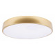 Потолочный светильник Loft IT Flims 10228/A