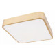 Потолочный светильник Loft IT Flims 10228/C