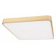 Потолочный светильник Loft IT Flims 10228/D