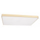 Потолочный светильник Loft IT Flims 10228/E