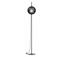 Торшер Loft IT Wonders 10237F Black