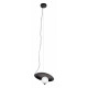 Подвесной светильник Loft IT Wonders 10237P Black