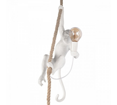 Подвесной светильник Loft IT Monkey 10314P