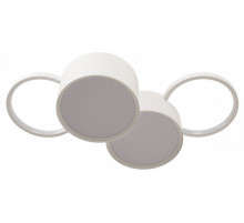 Потолочная люстра Loft IT Pin 10317/4 White