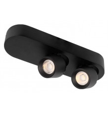 Накладной спот Loft IT Quiet 10320/2 Black