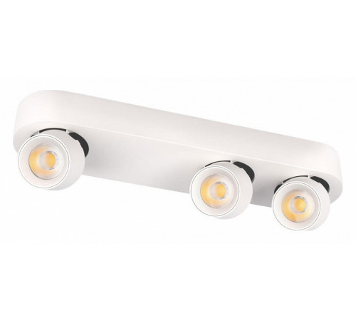 Накладной спот Loft IT Quiet 10320/3 White Накладной спот Loft IT Quiet 10320/3 White
