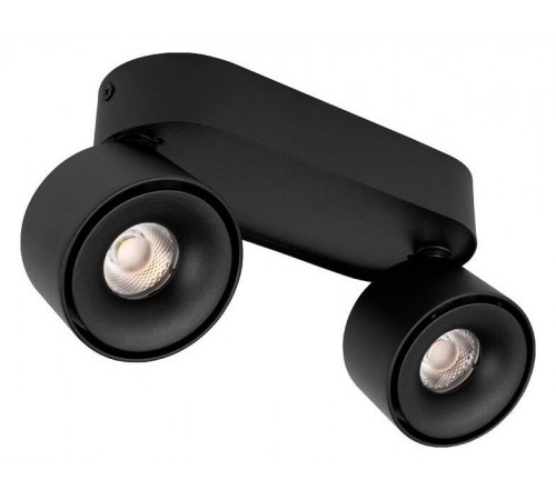 Накладной спот Loft IT Focus 10323/2A Black
