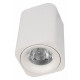 Накладной светильник Loft IT Cup 10329 White