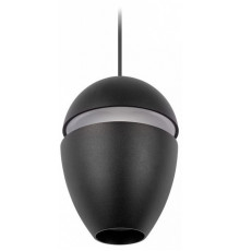 Подвесной светильник Loft IT Viterbo 10336 Black
