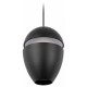 Подвесной светильник Loft IT Viterbo 10336 Black