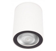 Накладной светильник Loft IT Rush 10344 White
