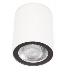 Накладной светильник Loft IT Rush 10344 White