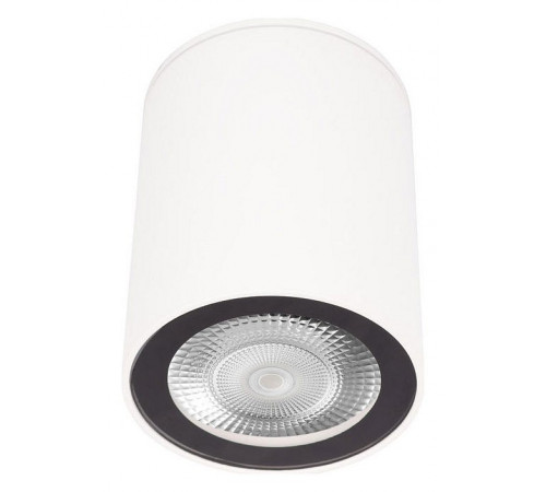 Накладной светильник Loft IT Rush 10344 White Накладной светильник Loft IT Rush 10344 White