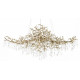 Подвесная люстра Loft IT Coral 10351/1200L AB