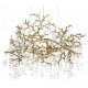 Подвесная люстра Loft IT Coral 10351/800 AB