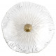 Настенный светильник Loft IT Bloom 10352W/A AB