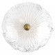 Настенный светильник Loft IT Bloom 10352W/B AB
