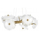 Подвесная люстра Loft IT Bloom 10352/650 AB