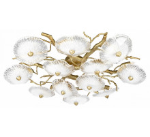 Потолочная люстра Loft IT Bloom 10352/800C AB